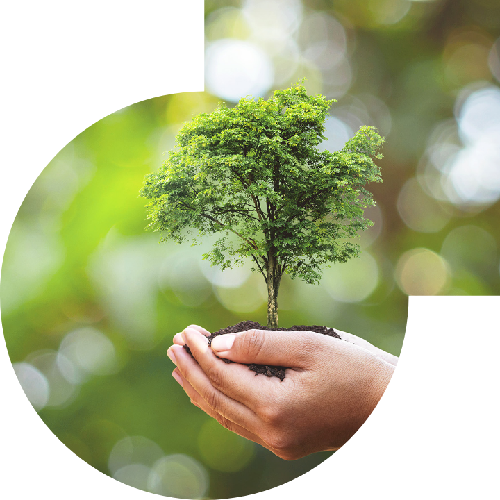 關懷人類、文化、環境與社會